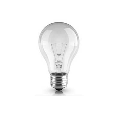 Bulb