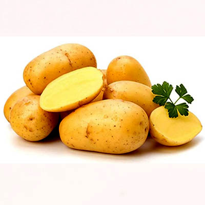 Potato