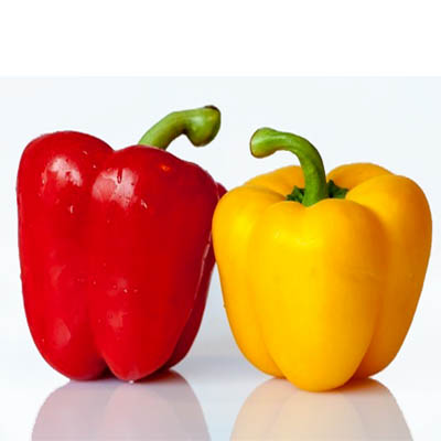 Capsicum