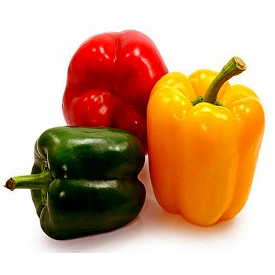 Capsicum