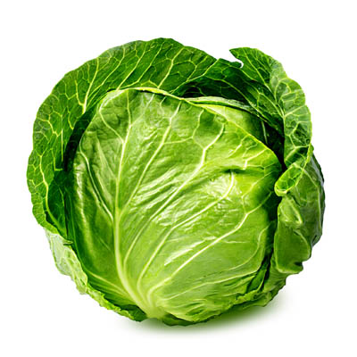 Cabbage