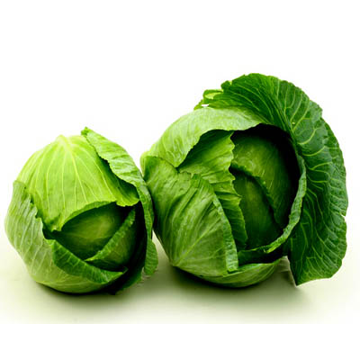 Cabbage