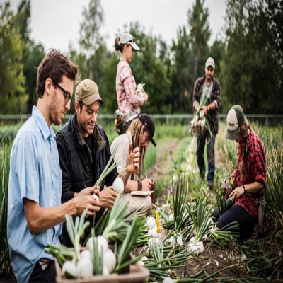 Jivamrit Organic Composting Training