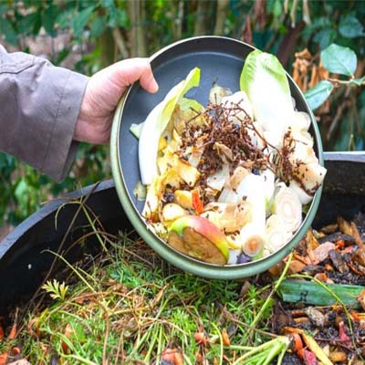 Kitchen Waste Organic Composting Training