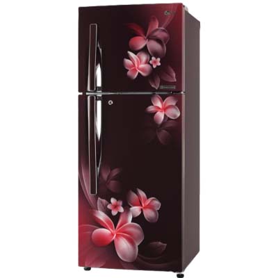 LG Fridge