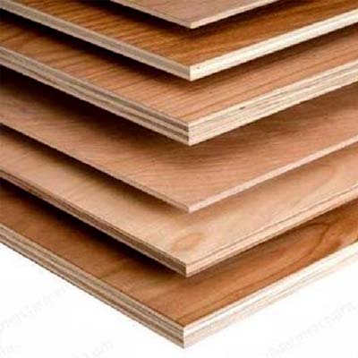 Veneer Plywood