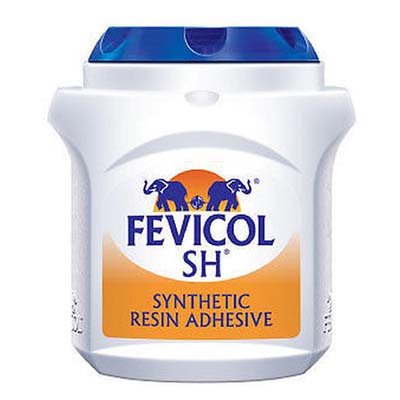 Fevicol 