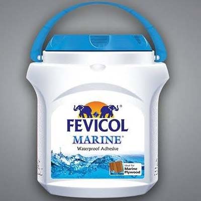 Fevicol 