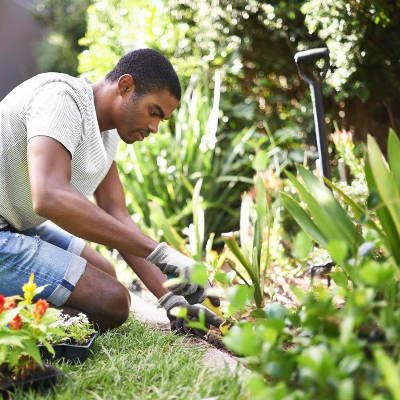 Gardeners