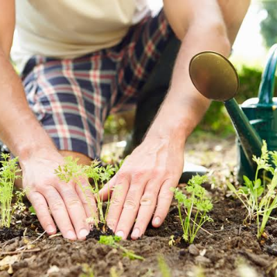 Gardeners