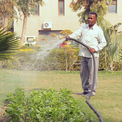 Gardeners