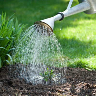 Gardeners