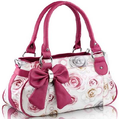 Fancy Ladies Bag